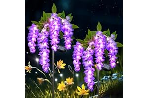 Qoosea Solar Lights Outdoor, 2 Pack Solar Garden Lights, Outdoor Solar Lights Waterproof IP65, Garden Decor Purple Lights, Ga