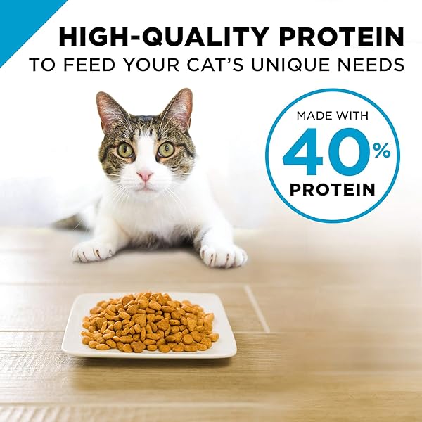 PURINA PRO PLAN FOCUS INDOOR CARE TURKEY RICE DRY ADULT 11+ CAT FOOD (7 LB)