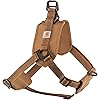 Carhartt Nylon Duck Training Dog Harness, Rugged On-Leash Training Harness with Dual Attachment Points