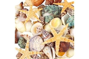 MOWPOG 80+ Pcs Natural Seashells, Mixed Starfish Sea Shells for Crafts, Various Sizes Ocean Shells Conch for Decorating, Beach Theme Party, DIY Crafts, Fish Tank Filling, Home Decor, Wedding Decoration