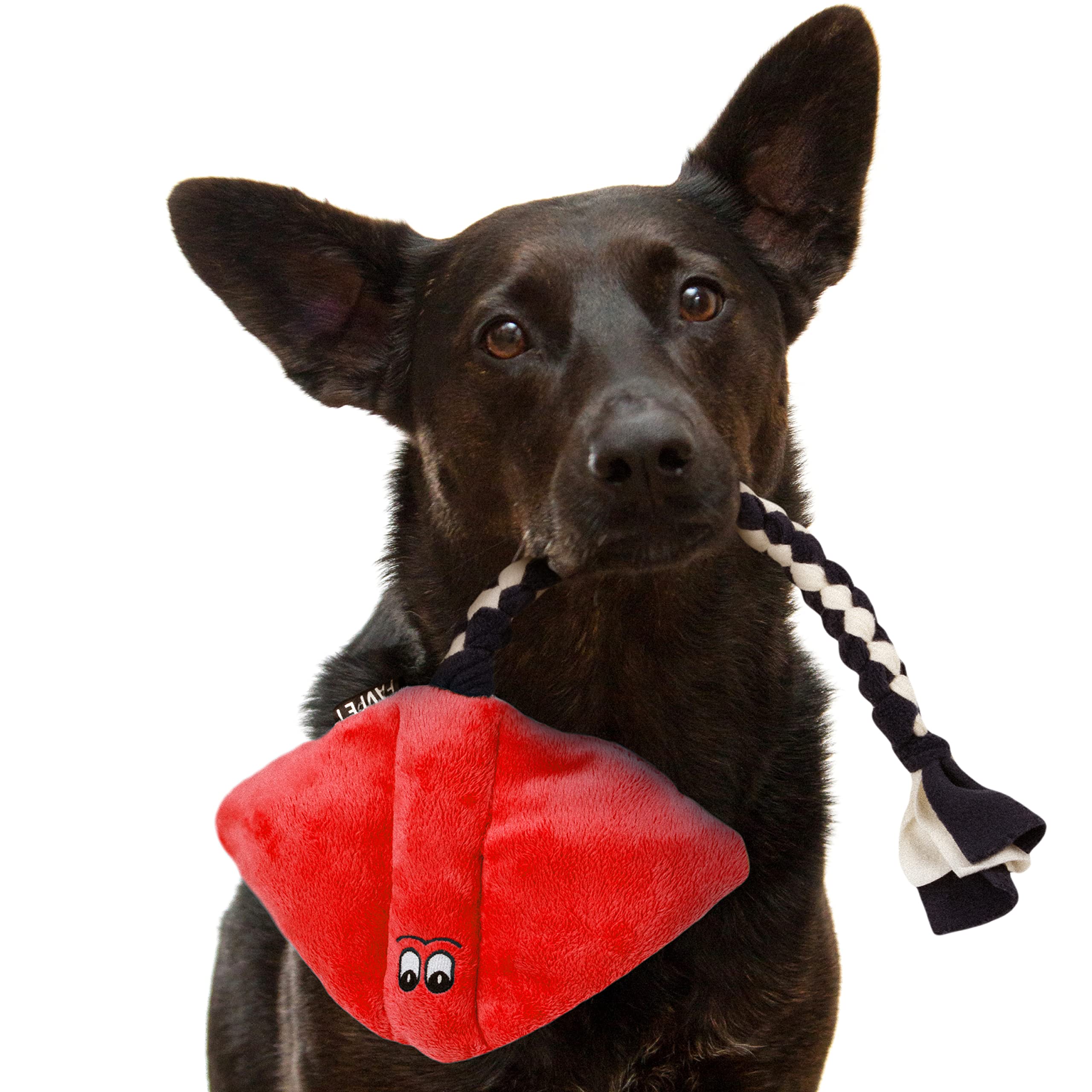 FAVPET Plush Dog Toy Stingray, Sturdy Dog Toy Squeaky Big Dogs, Squeaky Dog Toy Small Dogs Plush Toy, Funny Dog Toy Puppy Plush (Red)