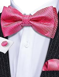 Barry.Wang Pink Bow Ties for Men Pre-tied Bow Tie