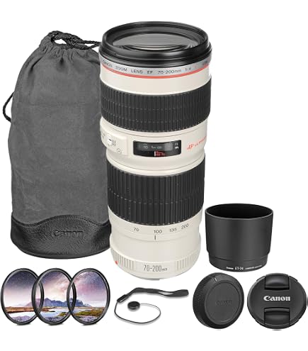 Amazon.com : Canon EF 70-200mm f/4L USM Telephoto Zoom Lens for