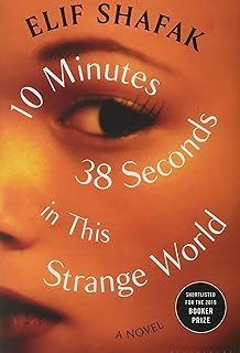 Ducks Newburyport Ellmann Lucy Amazon Com Books