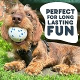 Petface Outdoor Paws Mighty Ball Dog Toy Extra Strong Large Pack 1 view 4