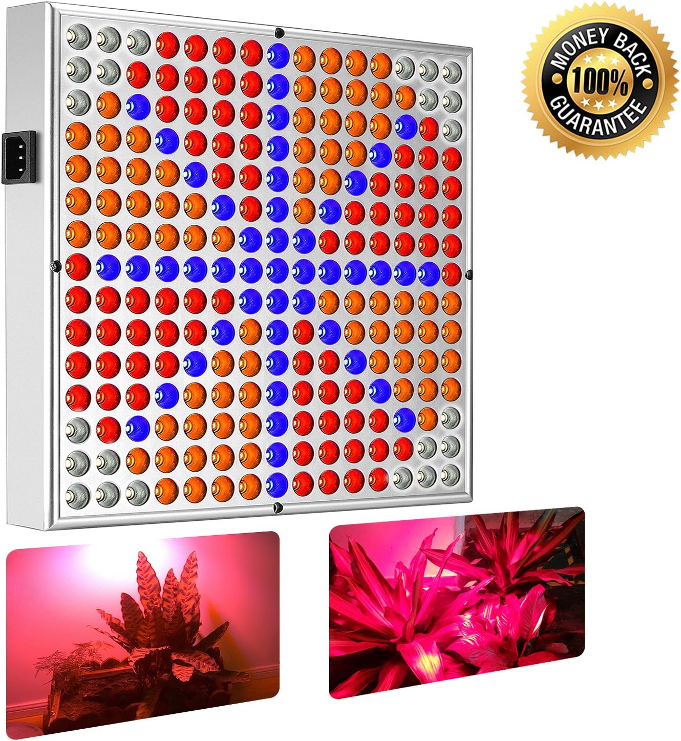 Solarxia 45W LED Panel Grow Light Plant Light lamp for Indoor Plants 225 LEDs Growing Hanging Lights for Seeds Full Spectrum Flower Grow lamp for Hydroponics Aquatic Greenhouse Tent