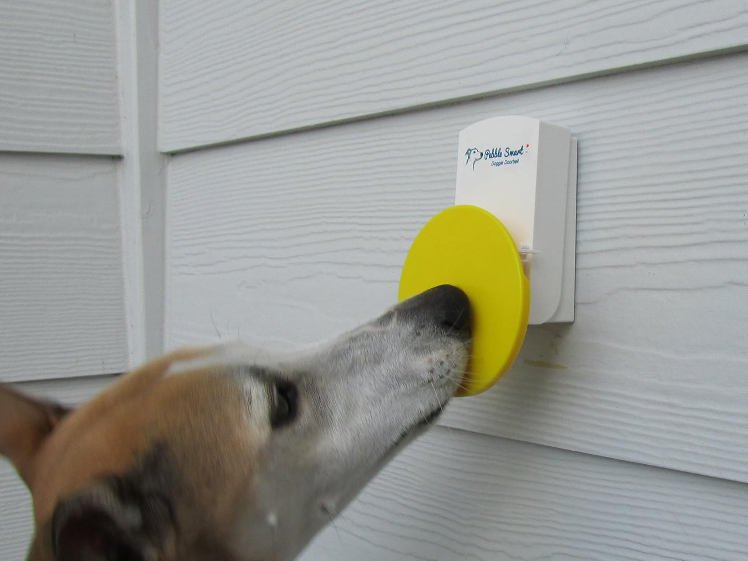 cheapest price Pebble Smart Doggie Doorbell TwinPack Blue Accent