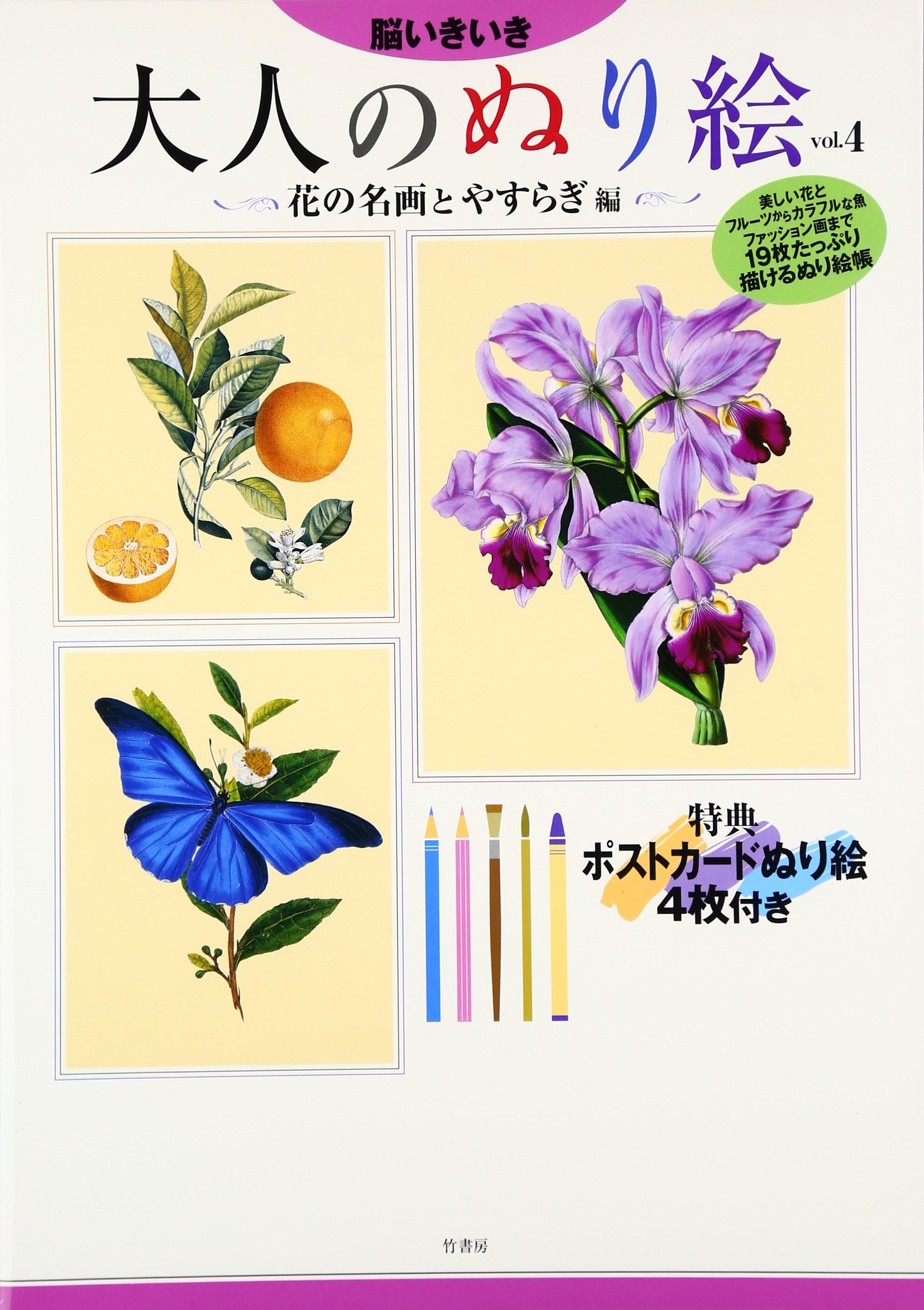 Al I E Esgqvol 4r O I Ae Ae A C O Amazon Co Uk Books