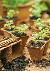 Gardman Grow it 6cm Round Fibre Pots Seedling Plant Seedling Cutting view 3