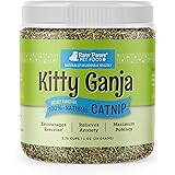 Raw Paws Pet Natural Catnip for Cats, 1-oz Premium Catnip - Loose Catnip Leaf - Potent Catnip Refill for Mice, Fish, Banana &