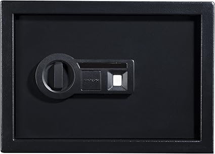 Amazon Com Stack On Ps 15 10 B Biometric Personal Safe With