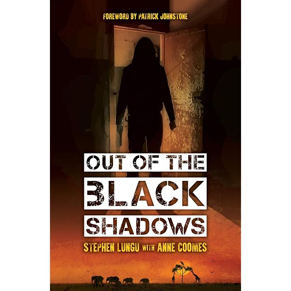 Out of Darkness: Meyers, Jeffrey K: 9781959622253: Amazon.com: Books
