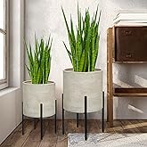 ARNIS Modern Plant Pots, Large Planters with Stand, Set of 2 Decorative Planters, Metal Pots with Drainage Holes for Living Room, Office, Garden or Balcony, 10.5 &amp;12.55 Inch, Dirt