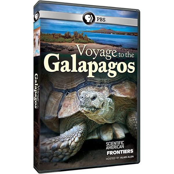 Amazon.com: Galapagos with David Attenborough [DVD] : Movies & TV