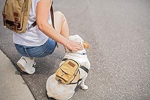 BoxDog Matching Dog Backpack and Human Backpack Set | Travel Camping Hiking Canvas and Leather Dog Backpack | Dog Park Backpack and Dog Saddlebag (Dog Backpack, One Size Fits All)