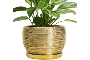SQOWL Ceramic Flower Pot - 8 Inch Plant Pot Indoor Outdoor, Round Planter with Drainage Hole and Saucer, Decorative Modern Pl