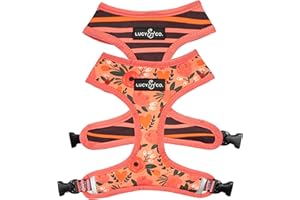 Lucy & Co. Posy Pink,Cute Reversible Dog Harness Walking Halter-Best Designer Pet Harnesses for Extra Small Medium Large XL Dogs Plus Pug Breeds-Padded Adjustable Puppy Vest for Easy Walking (Medium)
