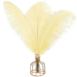 THARAHT Light Yellow Ostrich Feathers 12pcs Large
