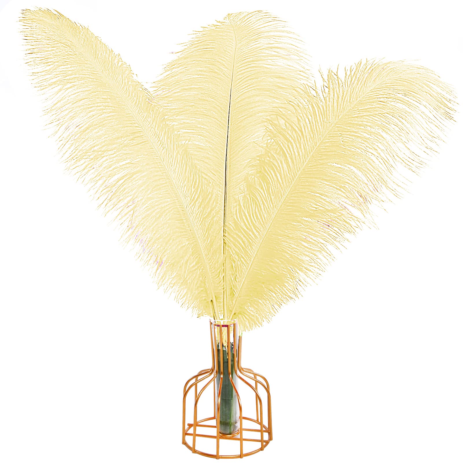 THARAHT Light Yellow Ostrich Feathers 12pcs Large