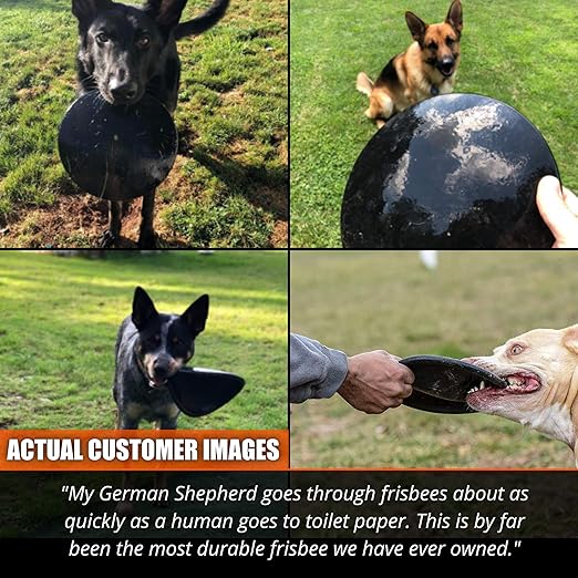 super tough dog frisbee