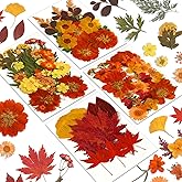 Augshy Fall Dried Pressed Flowers and Leaves for Autumn Crafts Resin DIY | Real Pressed Flowers, Ideal for Scrapbooking Candle Making,Autumn Foliage Colors,100 Pcs Craft Set