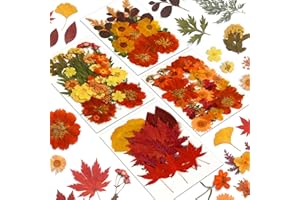 Augshy Fall Dried Pressed Flowers,100 Pcs Autumn Dried Flowers Leaves for Resin Molds Real Pressed Flowers for Crafts DIY Jewelry Molds, Scrapbooking, Candle
