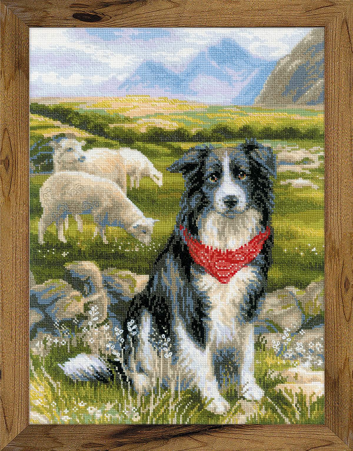 RIOLIS Cross Stitch Kit - 1767 - Border Collie