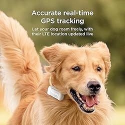 Petcube GPS Tracker for Dogs | Pet GPS Location