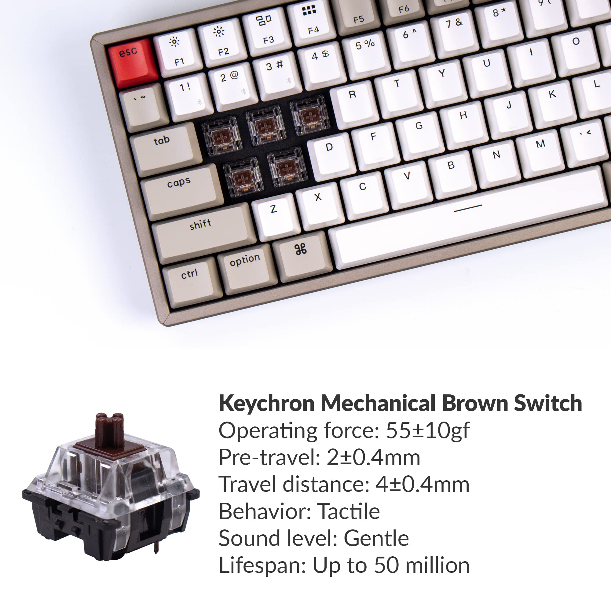 Mua Keychron K2 75% Layout Bluetooth Wireless Mechanical Keyboard with ...