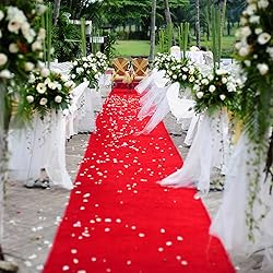 Red Carpet Runner Rug for Party and Event, Non-Slip