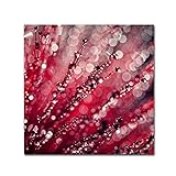 Trademark Fine Art BC0272-C1414GG Red Melody by