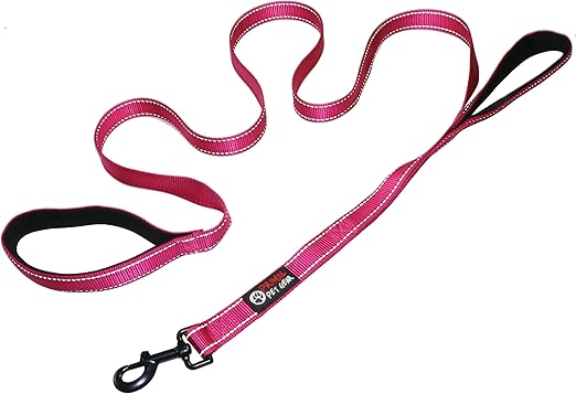dog leash safety clip