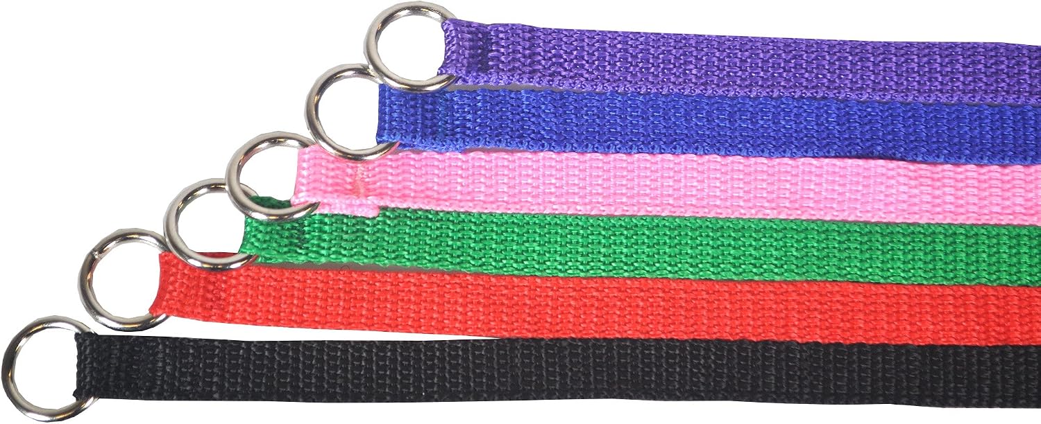 Downtown Pet Supply 6 Foot Slip Lead, Slip Leads - Image 4