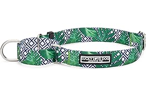 Lucky Love Dog Martingale Collar, Premium No Slip Martingale Collar for Medium Boy Dogs, Great for Whippets, Greyhounds, and More (Medium, Blue Laguna)