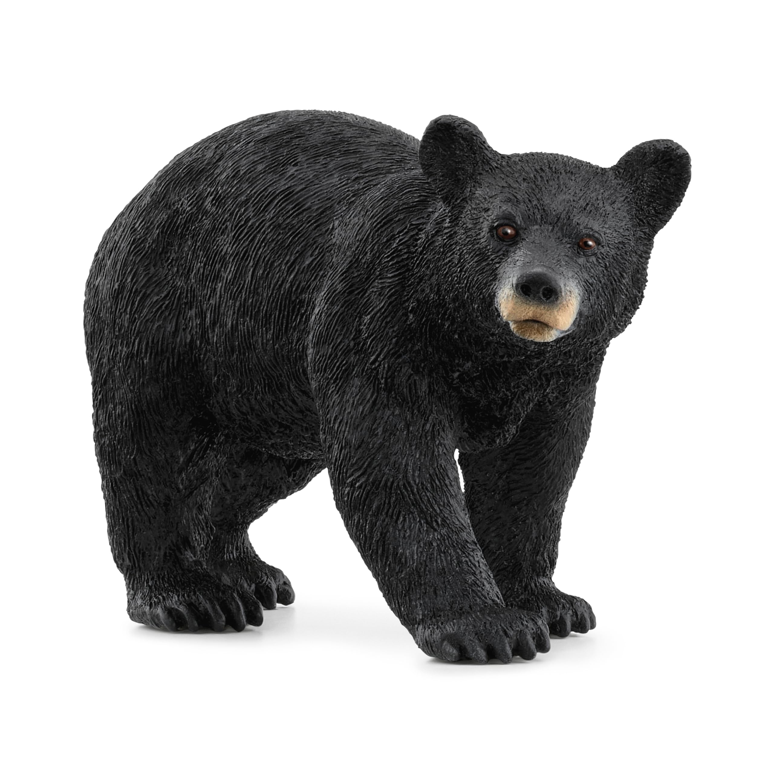 SCHLEICH 14869 American Black Bear, from 3 years WILD LIFE - Figurine, 4 x 12 x 6 cm