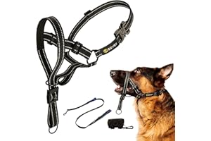 Zevey Dog Headcollar with Leash and Safety Strap Stops Heavy Pulling On The Leash Padded Reflective Head Halter for Small Medium Large Dogs Adjustable Head Harness for Training and Walking