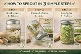 Natures Root Organic Broccoli Sprouting Seeds 250g Non GMO Microgreen view 4
