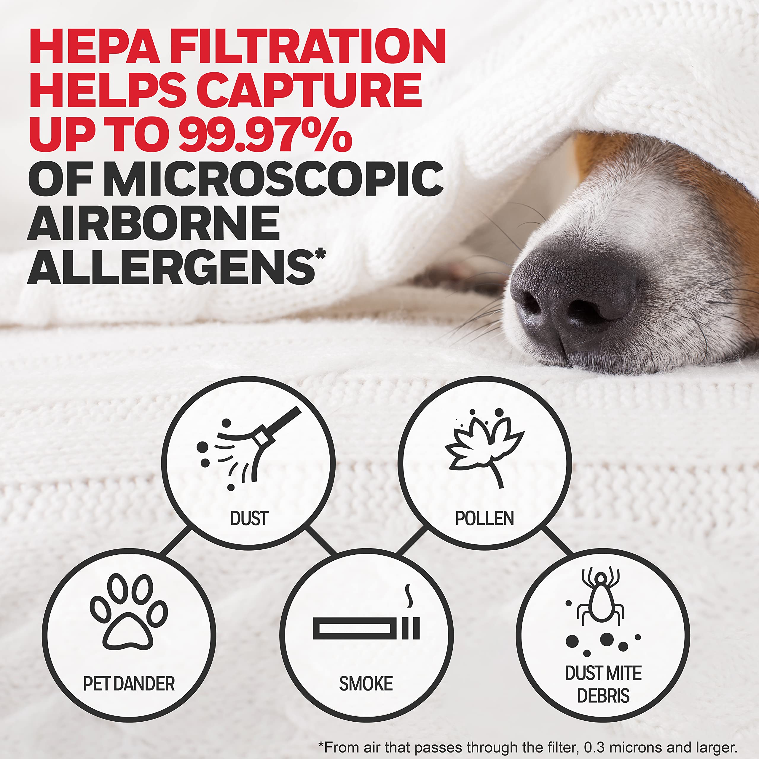 Honeywell HEPA Air Purifier Filter G, 1-Pack – for HPA030/HPA080 & HPA180 Series – Airborne Allergen Air Filter Targets Wildfire/Smoke, Pollen, Pet Dander, and Dust