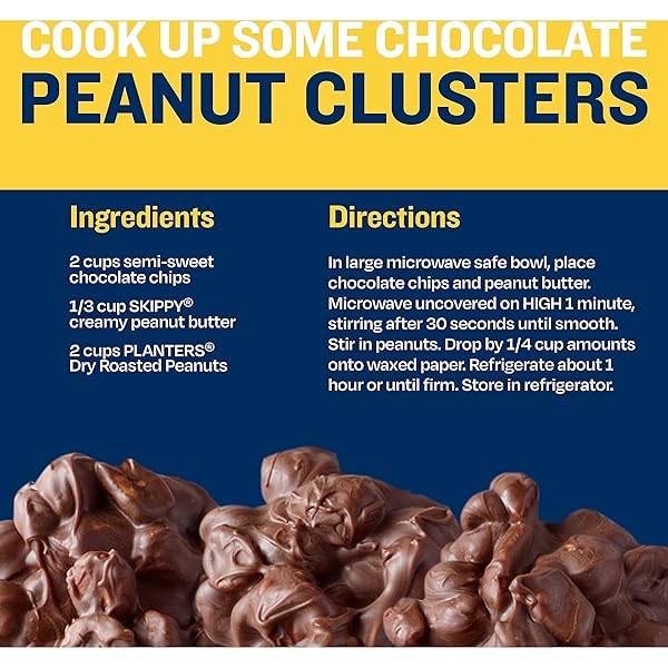 PLANTERS SALTED PEANUTS, DRY ROASTED PEANUTS, PARTY SNACKS, PLANT BASED PROTEIN, SNACKS FOR ADULTS, 16OZ (1 JAR)