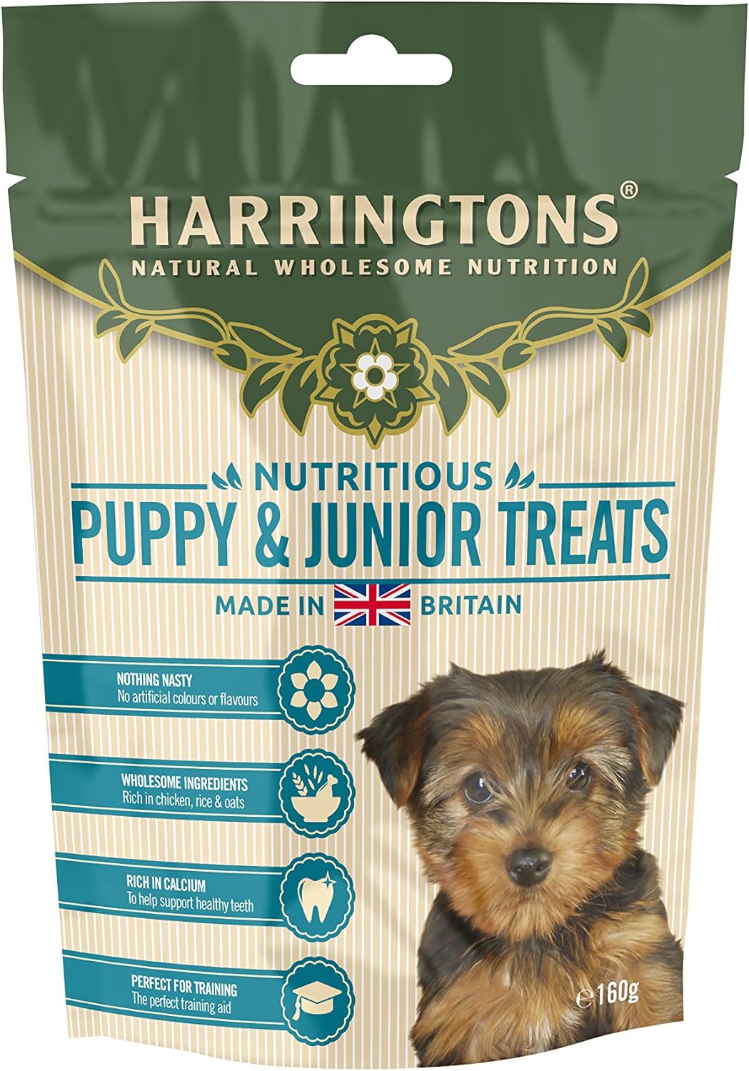 centipede remote control toy