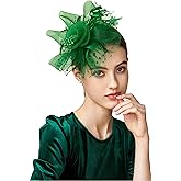 BABEYOND Fascinator Hats for Women Tea Party Hat Kentucky Fascinators Headband Derby Hats Wedding Flower Feathers Hair Clip