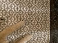 Review Image by Logan lord Logan lord