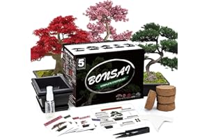 Meekear 5 Bonsai Tree Kit Complete Plant Growing Tools, Grow in Pot Indoor Bonsai Tree Starter Kit, Great Home Gardening Potted Plants DIY Gift for Adults