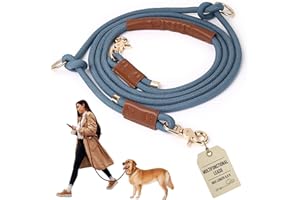 Tails & Tales Hands Free Dog Leash for Walking Running Training, Adjustable Lead Up to 9.8ft, Dogs Up to 125lbs, Crossbody, Dual Handle, Multifunctional, Double Attachment for 2 Dogs (Tapestry Blue)