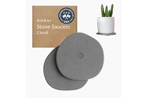 Dorai Stone Plant Pot Saucer – 2 Small Diatomite Water-Catching Trays for Indoor Plants