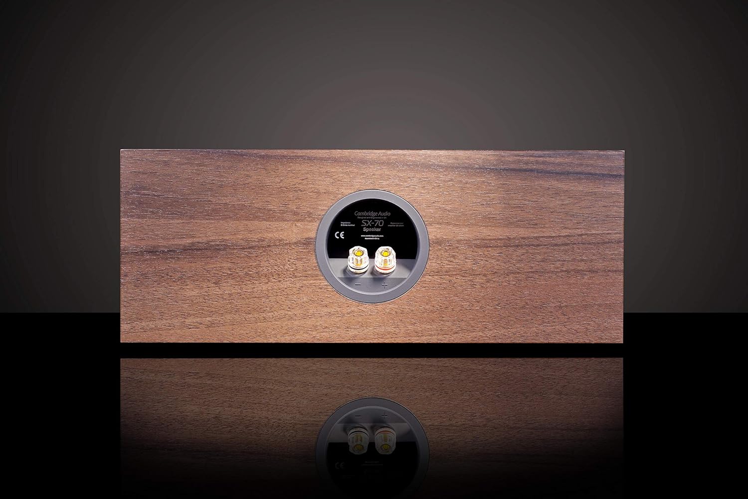 cambridge audio center speaker