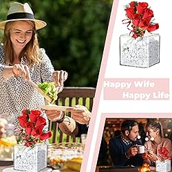 Acrylic Box Large Clear Display Boxes with Lid