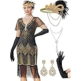 MTITE 1920s Dresses for Women, Great Gatsby Dresses Roaring 20s for women, Sheer Beaded Sleeves Costume with accessories
