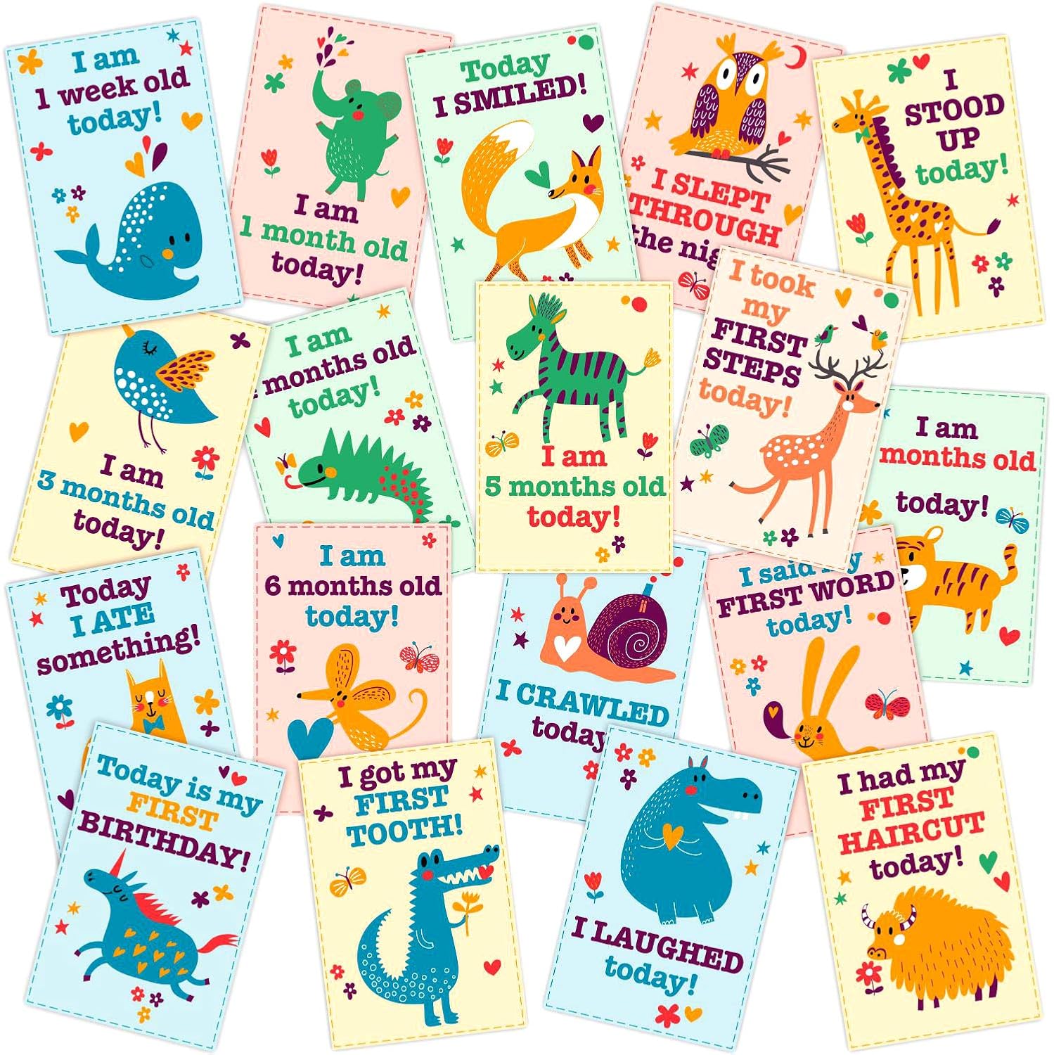 i am 6 months old today