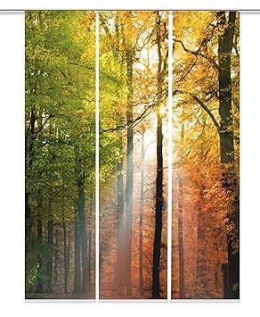 Home Fashion Digitaldruck Schiebevorhang 3er Set Stoff Natur 245 x 60 x 245 cm 3-Einheiten